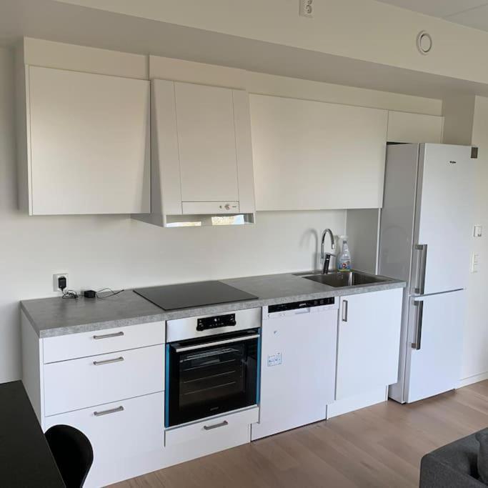 Scandpoint Apartment Fornebu Near Sea Front With Outdoor Walk! Stabekk Extérieur photo